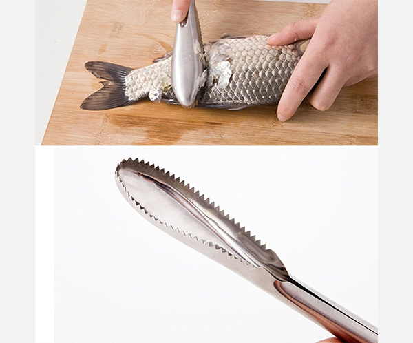 Grattoir d'écailles ou écailleur de poisson